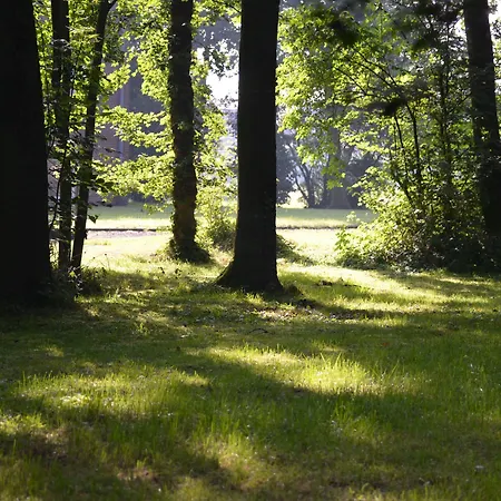 Haus Mariengrund Отель 3*