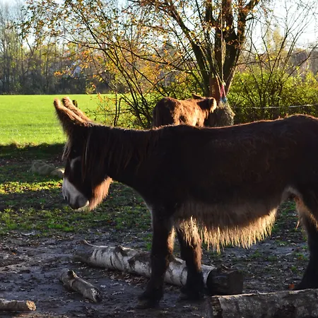Отель Haus Mariengrund Мюнстер