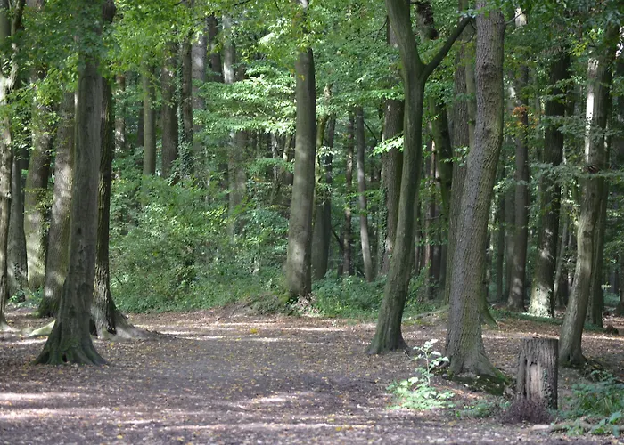 Hotel Haus Mariengrund